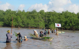 Vùng an ninh lương thực trước nỗi lo ngập mặn