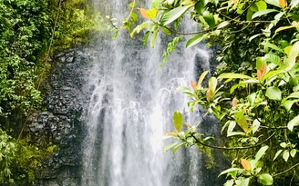 Lên Kon Tum 'chơi với mùa thu'