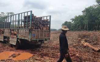 Giải phóng mặt bằng dự án sân bay Long Thành đang chậm