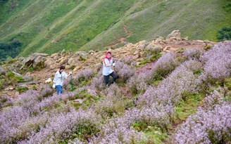 Trekking săn 'nóc nhà' bùng nổ, đi sao cho an toàn ?