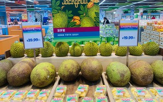 Trái cây Việt ùn ùn xuất ngoại