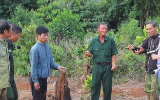Vụ án 6 cựu chiến binh 'hủy hoại rừng' ở Đắk Nông: Ra tù, 6 cựu chiến binh lại bị truy tố