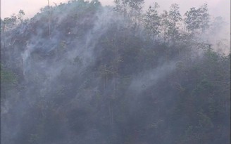 Cháy hàng chục héc ta rừng tại Quảng Ngãi