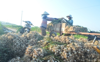 Lý Sơn đề nghị VTV đính chính thông tin trong chương trình 'Thương vụ bạc tỉ'