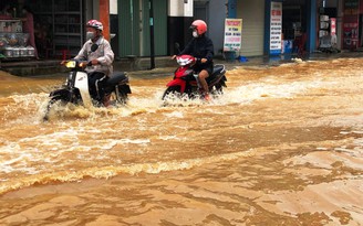 Quảng Nam yêu cầu thủy điện hạ mực nước để đảm bảo dung tích đón lũ