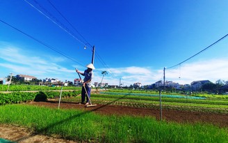 Quảng Nam: Du lịch ‘xanh’ là bước đi đột phá, sáng tạo