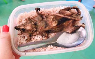 Thực hư bức ảnh học sinh vùng cao Quảng Nam ‘ăn cơm chỉ với thịt chuột’