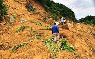 Quảng Nam: Sạt lở kéo dài hơn 1 km, hàng trăm hộ dân bị cô lập
