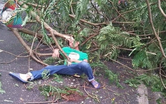 Hà Nội: Gió bão số 2 làm cây xanh đổ trúng 2 người đi đường