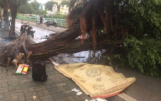 Mưa giông lớn ở Hà Nội, cây cổ thụ đổ đè tử vong nam thanh niên