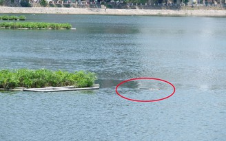 'Cần thủ' đuối nước, tử vong khi câu cá ở hồ Hoàng Cầu