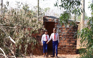Hơn 1.700 nhà vệ sinh cho học sinh là đi nhờ, mượn, thuê
