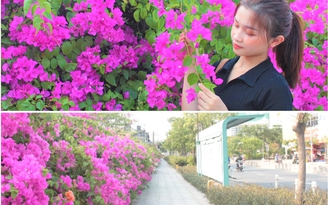 Bạn trẻ 'diễn sâu' với giàn hoa giấy đẹp mê hồn