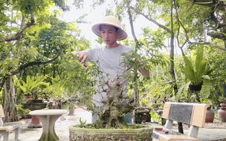 Thầy giáo âm nhạc kiếm thêm tiền triệu nhờ trồng bonsai sanh