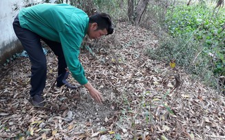 300 xác thai nhi chôn ở nhà máy rác: Cần thiết thì khai quật, kiểm tra