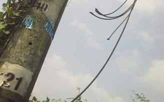 Cà Mau: Điều tra vụ trộm dây điện khiến 3 ấp mất điện