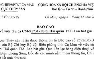 Cà Mau báo cáo về thông tin tàu cá bị Hải quân Thái Lan truy đuổi, đâm chìm