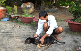 Cà Mau: Người dân hoang mang vì trộm chó lộng hành vùng nông thôn H.Trần Văn Thời