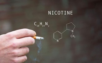 Nicotin và khói thuốc lá: Đâu là nguyên nhân gây bệnh ?