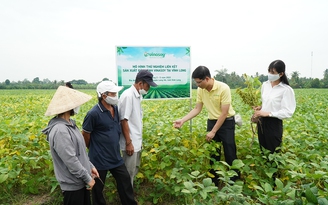 Vinasoy liên kết mở rộng vùng nguyên liệu tại ĐBSCL