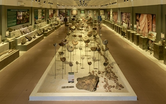 Triển lãm hơn 2.000 mẫu vật có niên đại từ 2,3 tỉ năm đến 10.000 năm
