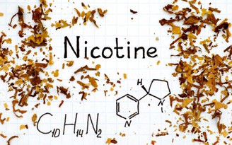 Cuộc chiến chống thuốc lá trên toàn cầu: Dừng tấn công vào nicotin?