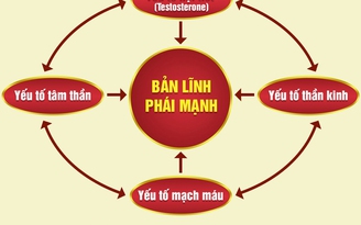 Kdnew - Đột phá toàn diện cho bản lĩnh phái mạnh