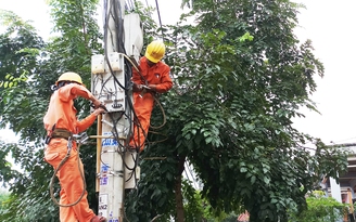 Quảng Ngãi: Chỉnh trang lưới điện khu vực Trà Bồng, Sơn Hà