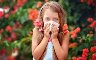 Mẹo kiểm soát bệnh viêm mũi dị ứng trong bối cảnh ô nhiễm môi trường