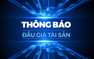 Thông báo đấu giá tài sản - Công ty đấu giá hợp danh Tây Nguyên - TB - 02