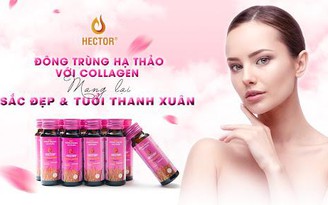 Đông trùng hạ thảo Hector Collagen: Công dụng, cách sử dụng và địa chỉ mua uy tín