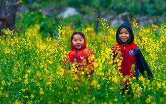 Máy ảnh Sony, ‘chìa khóa’ cho những ảnh tết triệu tim Máy ảnh Sony, ‘chìa khóa’ cho những ảnh tết triệu tim