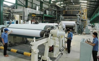 Lắp đặt dây chuyển sản xuất giấy lớn nhất Việt Nam