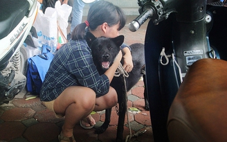 ‘Đừng có chụp ảnh nữa’