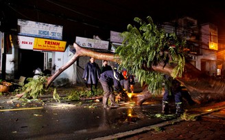 Cây xanh bật gốc kéo gãy trụ điện trong mưa lớn