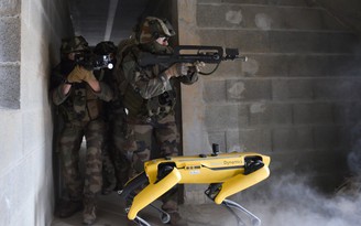 Chó robot đồng hành cùng lính Pháp trên chiến trường