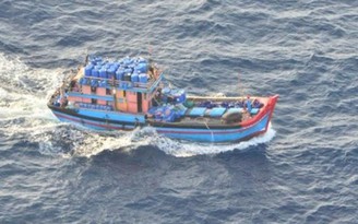 Úc bắt giữ 28 ngư dân Việt Nam đánh bắt hải sâm trái phép