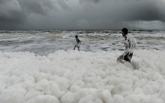 Bọt trắng độc hại phủ kín bãi biển Ấn Độ