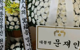 Gửi hoa viếng mẹ tội phạm tình dục, tổng thống Hàn Quốc bị chỉ trích