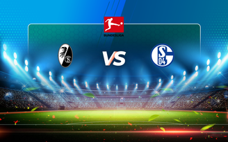 Trực tiếp bóng đá Freiburg vs Schalke, Bundesliga, 20:30 17/04/2021