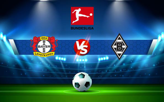 Trực tiếp bóng đá Bayer Leverkusen vs B. Monchengladbach, Bundesliga, 23:30 21/08/2021