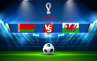 Trực tiếp bóng đá Belarus vs Wales, WC Europe, 20:00 05/09/2021