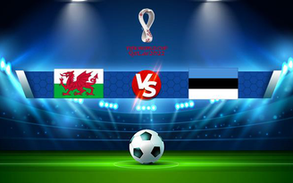 Trực tiếp bóng đá Wales vs Estonia, WC Europe, 01:45 09/09/2021