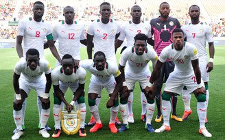 Đội tuyển Senegal World Cup 2018: 'Sư tử Teranga' và ký ức ngọt ngào 16 năm