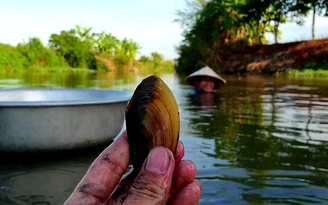 Người bôn ba Sài thành nhìn cuộc sống này ở miền Tây, chỉ muốn về quê ngay