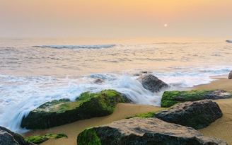 Việt Kiều Mỹ lặn lội miền Trung tìm bằng được bãi biển sạch không một miếng rác
