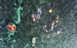 Quảng Ngãi lần đầu tiên tổ chức cuộc thi bơi vượt biển tại đảo Lý Sơn