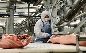 Tổ hợp chế biến thịt được đầu tư 1.800 tỉ đồng sắp khánh thành