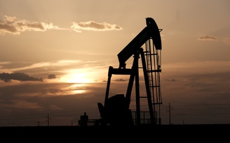 Giá xăng dầu hôm nay 25.3.2022: Lao dốc