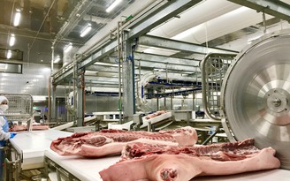 Giá heo hơi hôm nay 14.3.2022: Thịt heo trong siêu thị cao nhất 255.000 đồng/kg